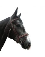 Silver Crown Comporta Headpiece With Half-Moon Flash Noseband