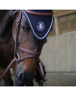 Antares Flash Nose Band Bridle