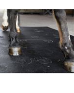 The HORSE BOX RUBBER MATS 3X3