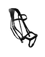 Antares Precision Y Noseband Bridle