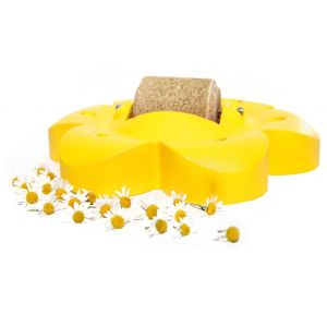 Officinalis LollyFlower Apples,Chamomile