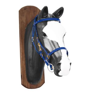 Lakota Biothane Halter-Bridle with Rubber Covered Reins