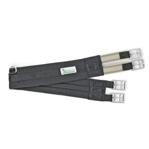 Padded Web Girth with Elastics