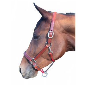 Silver Crown Classic Halter 