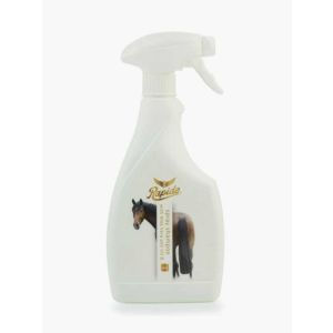 Rapide Spray Shampoo with Aloe vera 