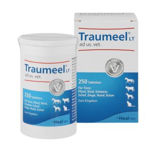 Traumeel T ad us. vet. Tablet 250pcs